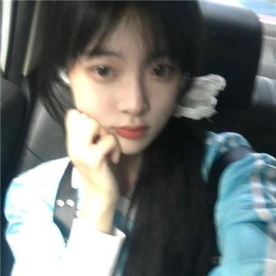 鹈鹕的故事